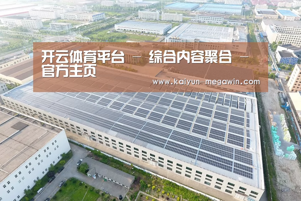 案例展示二