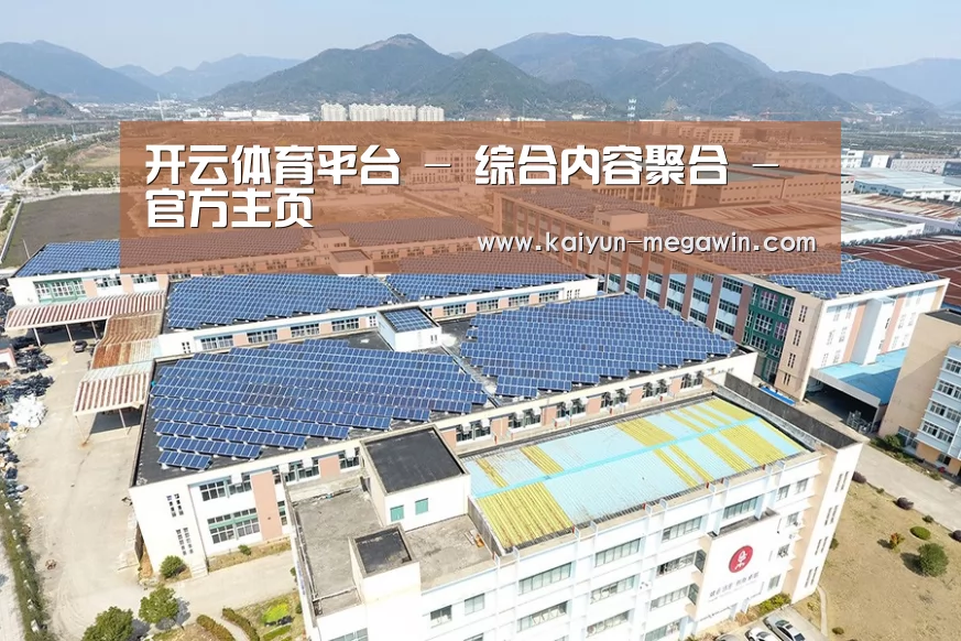 案例展示四