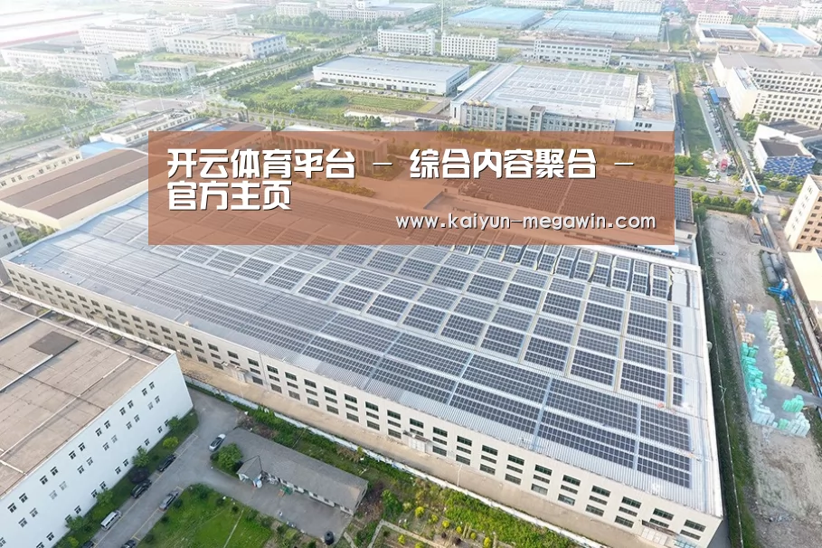 案例展示二