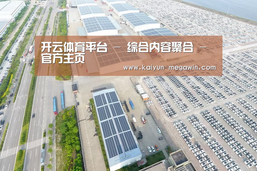 案例展示一