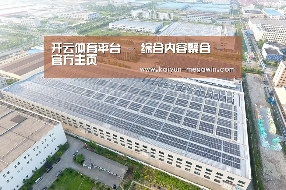 案例展示三