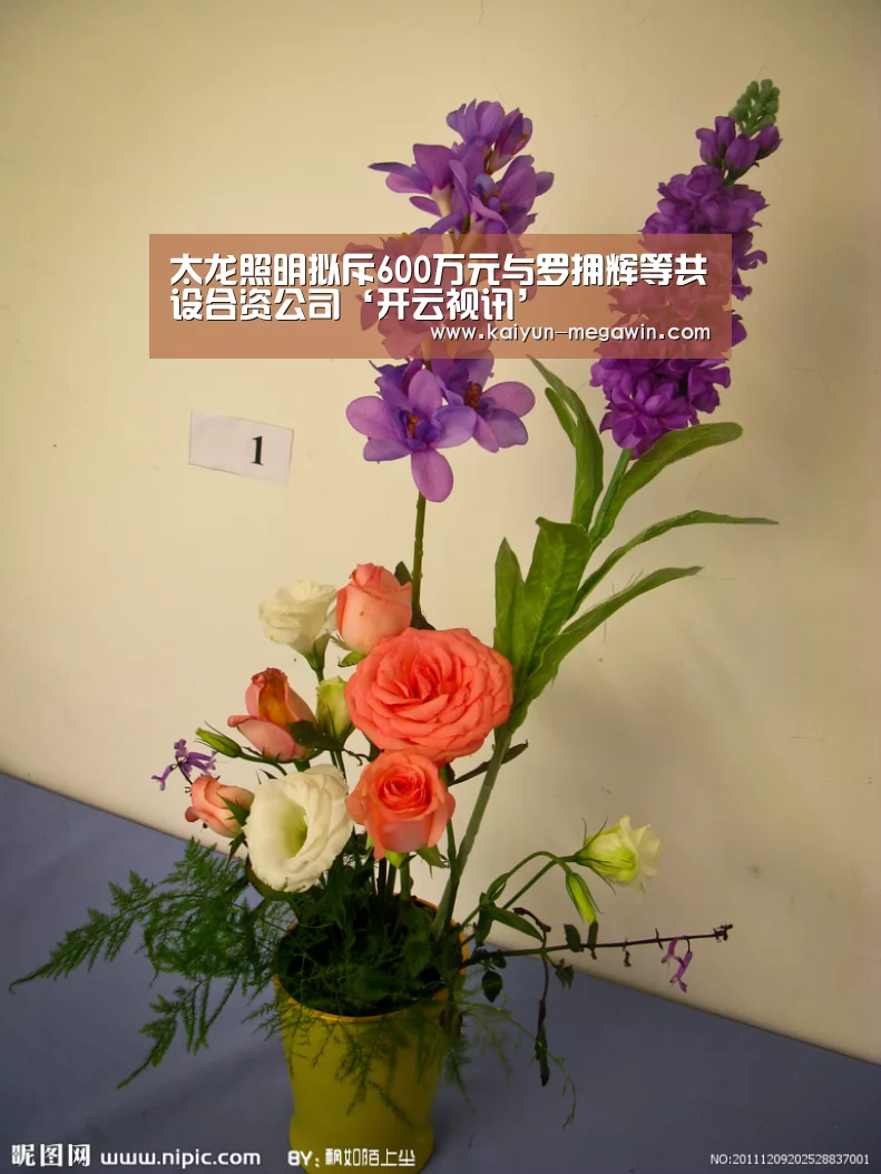 开云快讯