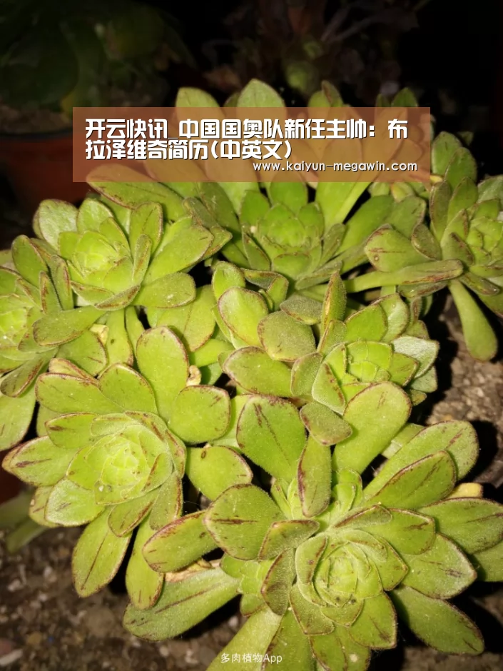 开云快讯